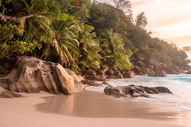 most affordable car Praslin